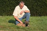 MALINOIS 025